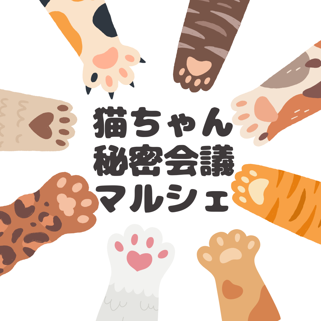 猫ちゃん秘密会議マルシェがスタート！