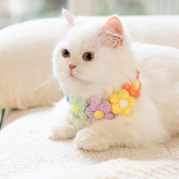 花飾りペット用首輪 犬猫用アクセサリー – Oh MY CAT